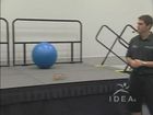Functional Training: Muscles and Movement in 3D
