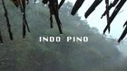 Indo Pino