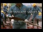 Four Corners, The Whale Wars