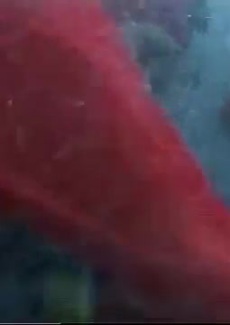 Technology Today Episode 449 Alexander Street A Proquest Company