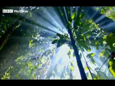 How To Grow A Planet Episode 1 Life From Light Alexander Street A Proquest Company