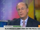 Fink: 95% Talking Fiscal Cliff Have No Clue