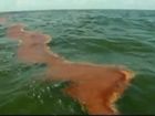 Devastation from Oil Spill