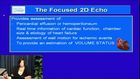 Bedside Sonography: The Focused 2D Echo