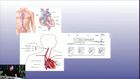 Echocardiographic Evaluation of Diastolic Function
