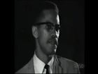 Malcolm X: Founding Rally of Organization of Afro-American Unity (OAAU) speech excerpt