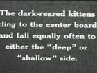 Depth Perception of Light- and Dark-reared Kittens