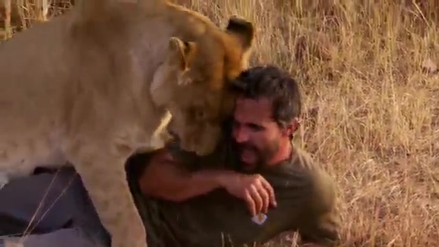 The Lion Whisperer 