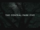 The Central Park Five: Interviews With the Filmmakers