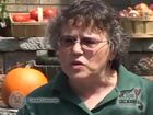 Diane Eggert: Farmers' Market Federation of New York
