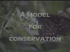 A Model for Conservation