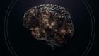 The Brain with David Eagleman, Episode 4, How Do I Decide?