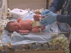 Assessment of the Newborn, Head to Toe Assessment: Newborn Screening