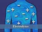 Fluids and Electrolytes Balance: Basics, Episode 1, Overview Of Fluids And Electrolytes