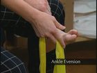 Ankle Eversion