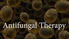 Anti-Infective Medication Therapy, Antifungal and Antiviral Agents
