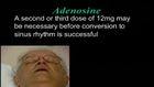 Heart Medications, Antiarrhythmic Agents: Adenosine
