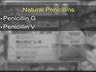 Anti-Infective Medication Therapy, Sulfonamides and Penicillins: Natural Penicillins