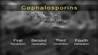Anti-Infective Medication Therapy, Cephalosporins, Aminoglycosides, Macrolides and Quinolones: Introduction to Cephalosporins