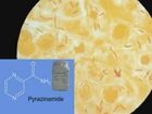 Anti-Infective Medication Therapy, Antitubercular Agents: Pyrazinamide