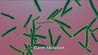 Infection Control in Healthcare, Multi drug resistant organisms: Germ mutation and multi-drug resistant organisms