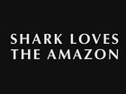 Shark Loves The Amazon