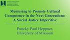 33rd Annual Winter Roundtable on Cultural Psychology and Education, Mentoring to promote cultural competence in the next generations: A social justice imperative