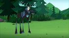 Wild Kratts, Season 4, Episode 13, The Mystery of the Two Horned Narwhal