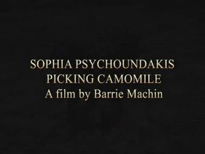 Barrie Machin's Greece, Episode 25, Sophia Psychoundakis Picking Camomile