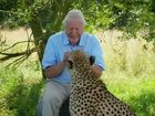 David Attenborough's Natural Curiosities, Series 3, Episode 1, Impossible Feats