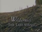 Wilderness: The Last Stand