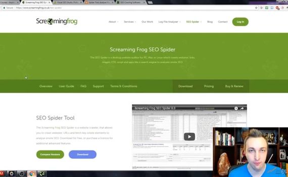 screaming frog seo spider logo