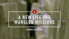 Great Big Story, A New Life for Mangled Millions