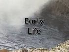History of Life, Early Life