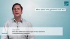 How Are Different Transcripts in Our Genome Translated Into Proteins?