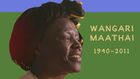 Global Icons, Global Icons: Wangari Maathai