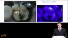 Adhesive & Esthetic Dentistry, Minimally Invasive Procedures (Part 3 of 4)