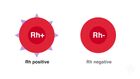 Discover How The Rhesus Factor In Blood Affects How Blood Transfusions Are Given