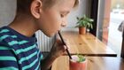 A Demonstration Of How Plants Absorb And Transfer Water Through Capillary Action