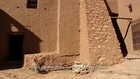 Terra firma (Earth), Ksar Mud House, Morocco (2of3)