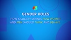 Crash Course Sociology, Theories of Gender