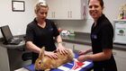 Pet Medics: New Zealand, Series 1, Episode 8, Playing Favourites