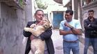Wild Animal Rescue, Season 1, Episode 2, Gaza Lion Cubs Rescue