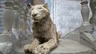 Wild Animal Rescue, Season 1, Episode 5, Closing the 'Worst Zoo In The World'